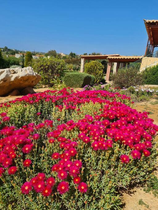 פורטו הלי Guesthouse Petrothalassa מראה חיצוני תמונה